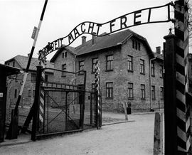 Auschwitz, 2005